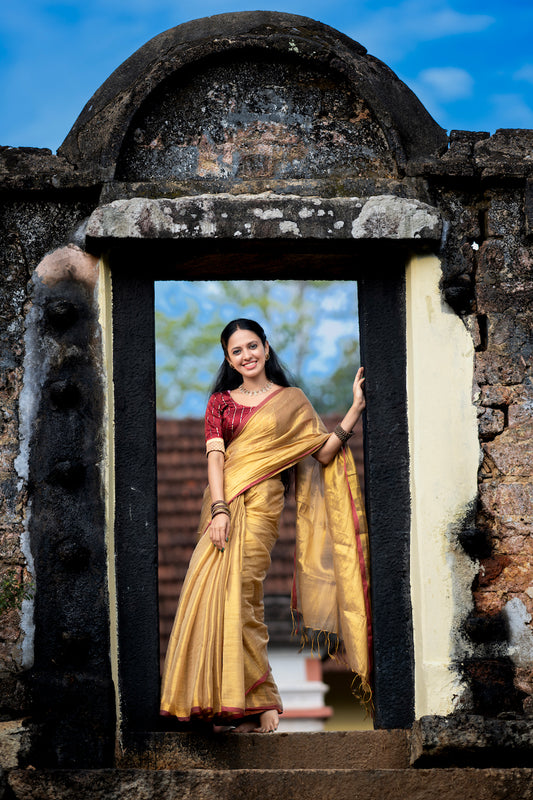 Gold Tissue Cotton Saree