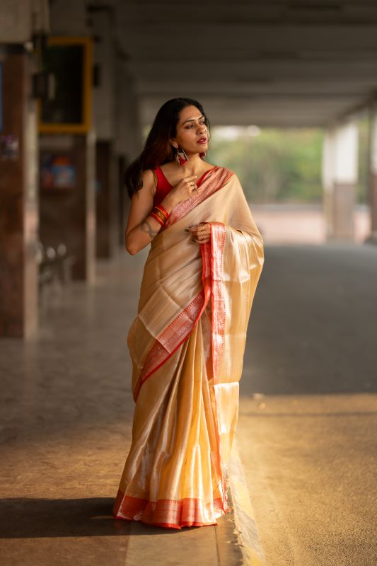 Tan Tissue Cotton Saree With Border